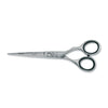 Kiepe Standard Hair Scissor